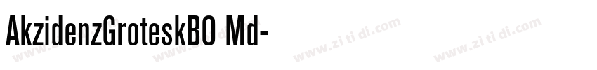 AkzidenzGroteskBO Md字体转换